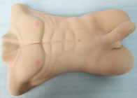 Половинный человек мышцы секс новизны 7 дюймов забавляется реалистическая кукла любов пениса